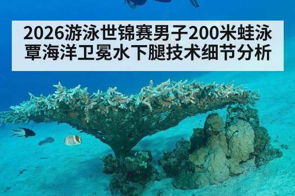 2026游泳世锦赛男子200米蛙泳覃海洋卫冕水下腿技术细节分析