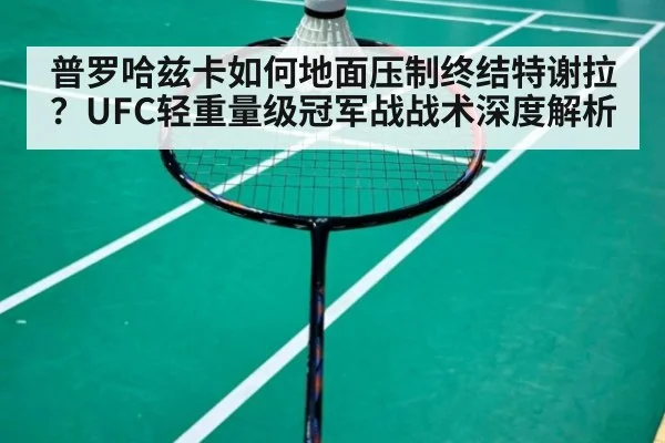 普罗哈兹卡如何地面压制终结特谢拉？UFC轻重量级冠军战战术深度解析