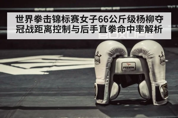 boxing ring gloves