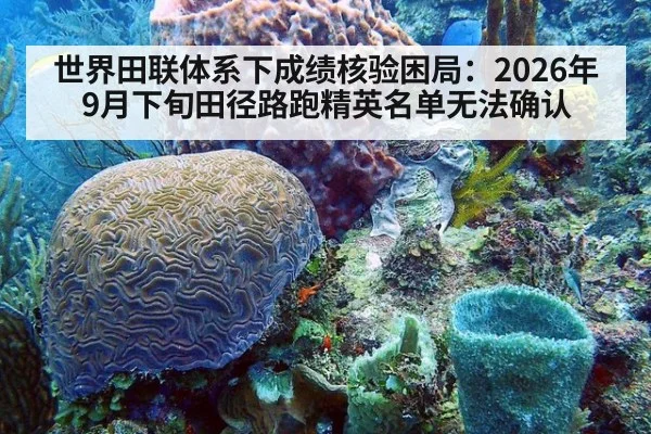 世界田联体系下成绩核验困局:2026年9月下旬田径路跑精英名单无法确认