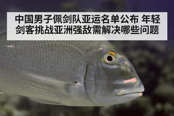 中国男子佩剑队亚运名单公布 年轻剑客挑战亚洲强敌需解决哪些问题