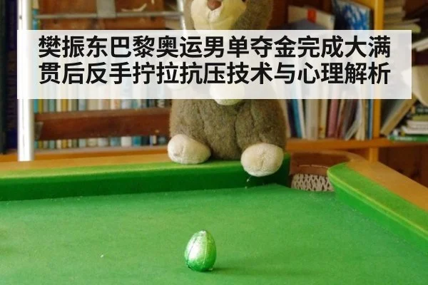 樊振东巴黎奥运男单夺金完成大满贯后反手拧拉抗压技术与心理解析